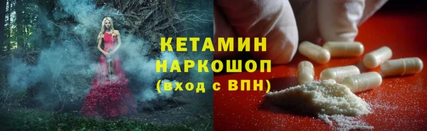 трава Новодвинск
