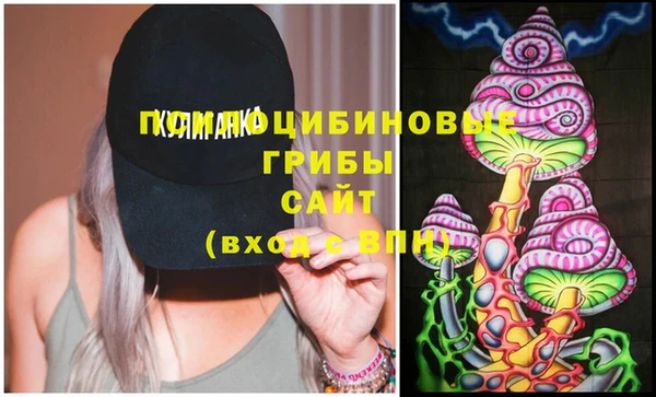 трава Новодвинск