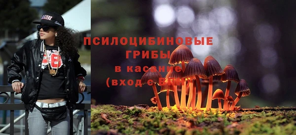 COCAINE Новокубанск