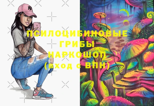 трава Новодвинск